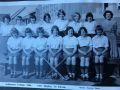 1966 hockeyxi