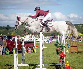 Kimberley Bird Equestrian web