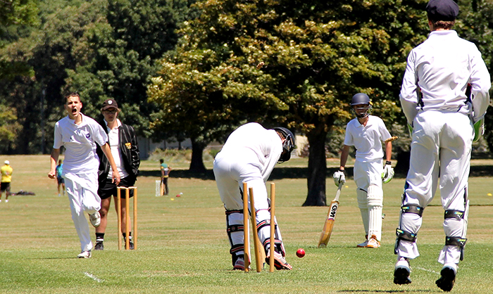 Ashcolcricket Harry McMillan